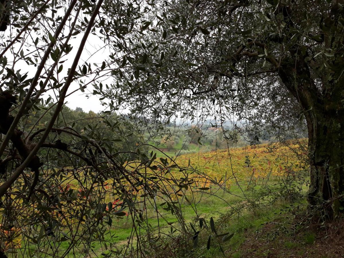 La Torre Wine Resort Монтекарло Екстериор снимка