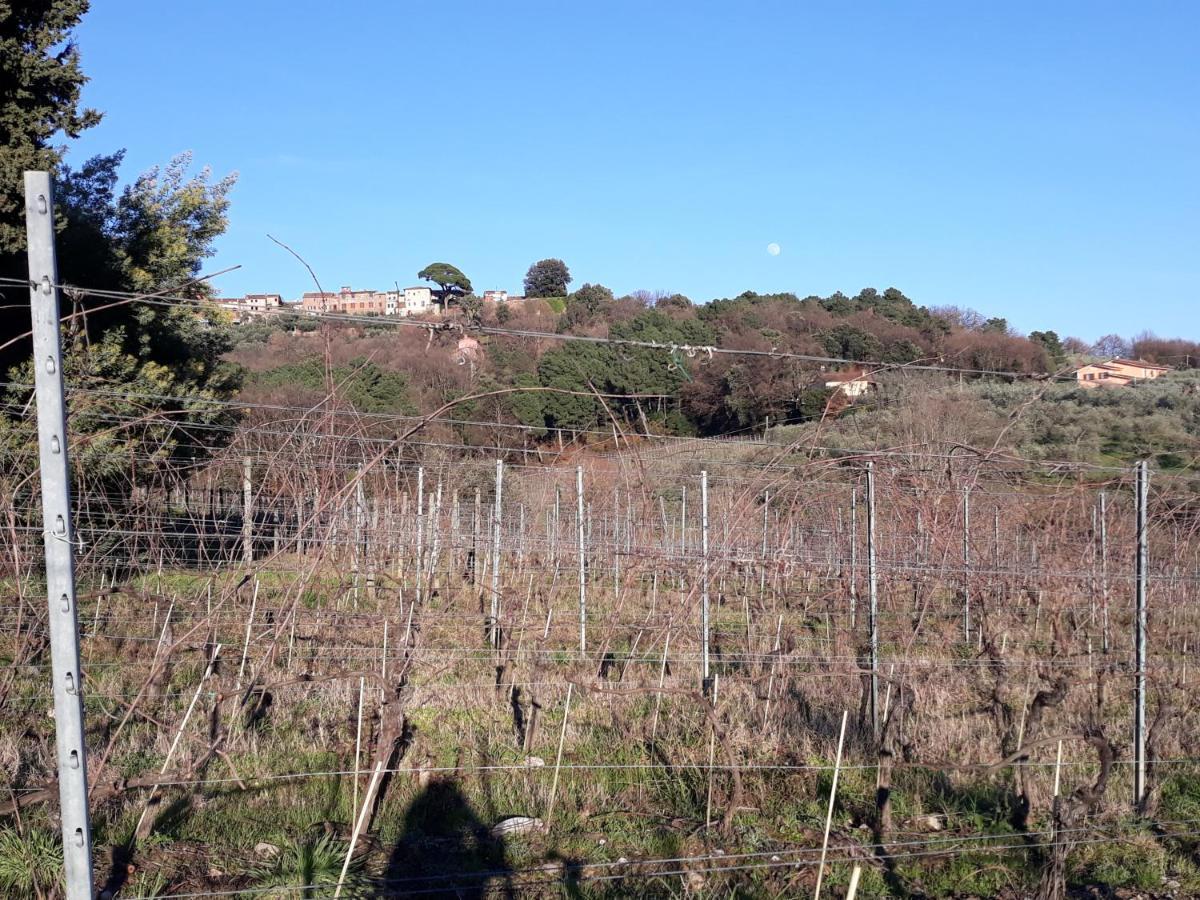 La Torre Wine Resort Монтекарло Екстериор снимка