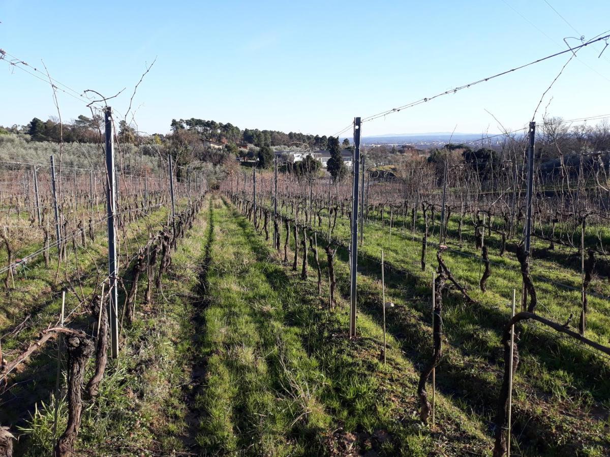 La Torre Wine Resort Монтекарло Екстериор снимка
